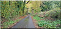 Down the Lane through the Old Railway Bridge Abutments