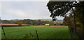 View Towards Arbor Trees Farm