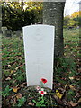 SO9975 : Grave 779 Lickey Cemetery, Remembrance Day 2022 by Roy Hughes
