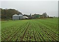 New Hall Farm on a grey November morning