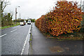 Glenpark Road, Mountjoy Forest East Division