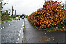 H4577 : Glenpark Road, Mountjoy Forest East Division by Kenneth  Allen