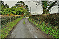 Bend along Cappagh Road