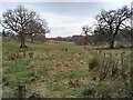 NS5477 : Field beside Craigend Castle by Richard Sutcliffe