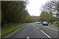 A36 Salisbury Road