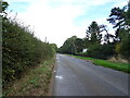 Pitsford Road towards Moulton