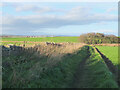 Field path from High Hauxley