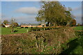 Grazing land at Bucklers Hall Farm, Perry Green