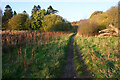 Hertfordshire Way footpath south of Much Hadham