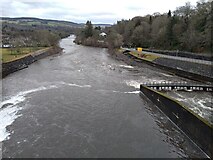 NN9357 : River Tummel at Pitlochry by Robert Struthers