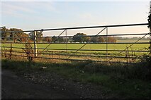 TL1015 : Field on Roundwood Lane, Harpenden by David Howard