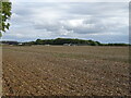 Field and farm buildings, Foxhall