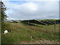 Solar farm near Desborough