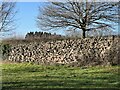 Roman fortress wall at Caerleon