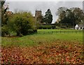 The Geopark Way at Astley