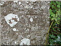 Ordnance Survey Cut Mark