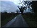 Minor road near Fingland