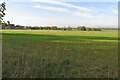 Farmland north of Pirton