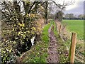 Narrow slippery path by the drainage ditch