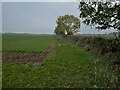 Field by Ashcroft Farm