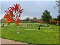 Alleyfield Burial Ground