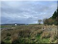 Restored opencast land