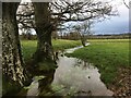 Stream near Greystoke Gill