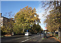 Cedars Road, Clapham