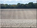 SP9205 : Striated undulating ploughed field by Peter S