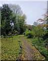 Path, Priory Gardens, Gisborough Priory