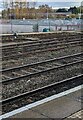 Across the tracks at Gloucester station