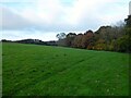 Site of North Land Wood/Little Colliers