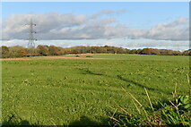 SU6714 : Fields northeast of Denmead Mill by David Martin