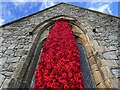 NY1153 : Poppy Cascade at Christ Church Silloth by Jennifer Petrie