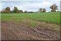 Field near Haven