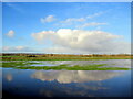 Clouds in the flooded field