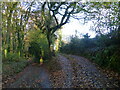 Junction of a track with Penterry Lane, near Chapel Hill, Tintern