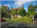 Vine covered cottage, Crossbush Lane