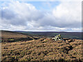 Heathery knoll with cairn