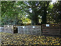 Compost bins near Lake Grounds