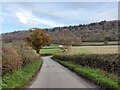 Lane towards Wenlock Edge