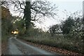 Punch Bowl Lane, Redbournbury