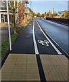 White-edged cycle lane, Sperry Way, Stonehouse