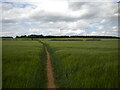 Public footpath west of Shirebrook (3)