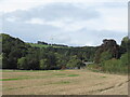 Stubble beside Haughhead Road