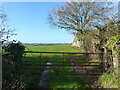 Gate, and view across a field, Gurshill Farm, near Purton