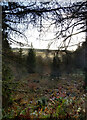 Looking over Bottoms Beck