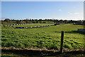 Beragh Swifts Football Club grounds