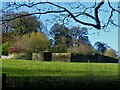 Walled Garden at Farnhill Hall