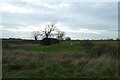 Shed beside Ings Lane